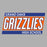 Close-up of Grand Oaks High School Grizzlies Sport Grey Classic Unisex Hoodie 72