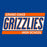 Close-up of Grand Oaks High School Grizzlies Premium Royal Unisex T-shirt 72