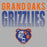 Close-up view of Grand Oaks High School Grizzlies Women's Sport Grey SoftStyle T-shirt 024