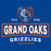 Close-up view of Grand Oaks High School Grizzlies Classic Unisex Royal T-shirt 202