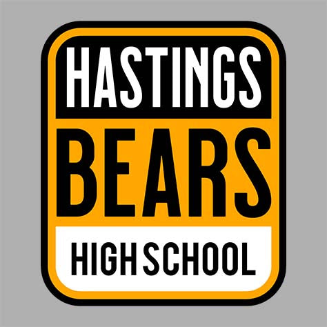 Hastings High School Sports Grey Classic T-shirt 01