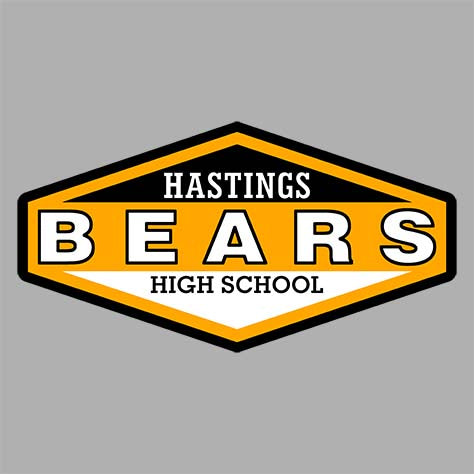 Hastings High School Sports Grey Classic Hoodie 09