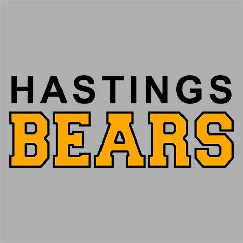 Hastings High School Sports Grey Women's T-shirt 10