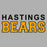 Hastings High School Sports Grey Classic Hoodie 10