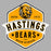 Close-up view of Hastings High School Bears Unisex 3/4 sleeve Raglan T-shirt 209