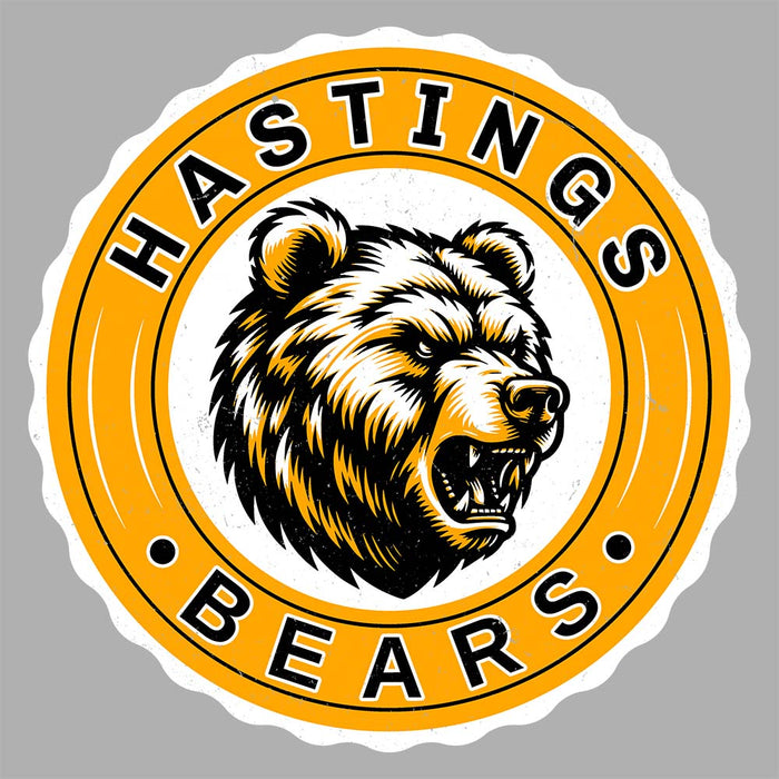 Close-up view of Hastings High School Bears Unisex 3/4 sleeve Raglan T-shirt 216