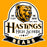 Close-up view of Hastings High School Bears Gold Classic Unisex T-shirt 219