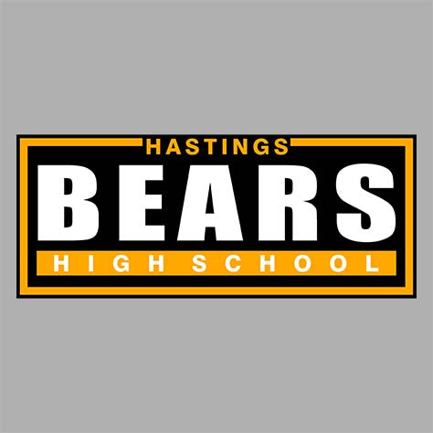 Hastings High School Sports Grey Classic Hoodie 49