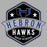 Close-up view of Hebron High School Hawks Unisex 3/4 sleeve Raglan T-shirt 209