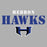 Close-up view of Hebron High School Hawks Women's Relaxed Fit T-shirt 017