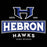Close-up view of Hebron High School Hawks Unisex 3/4 sleeve Raglan T-shirt 202
