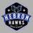 Close-up view of Hebron High School Hawks Unisex 3/4 sleeve Raglan T-shirt 209