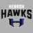 Close-up view of Hebron High School Hawks Unisex 3/4 sleeve Raglan T-shirt 234