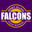 Jersey Village Falcons Premium Purple Hoodie - Design 11