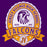 Close-up of Jersey Village High School Falcons Purple Classic Unisex T-shirt 213