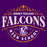 Close-up of Jersey Village High School Falcons Premium Purple Hoodie 214