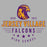 Close-up of Jersey Village High School Falcons Athletic Heather Premium Unisex T-shirt 215