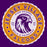 Close-up of Jersey Village High School Falcons Purple Classic Unisex T-shirt 216