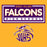 Close-up view of Jersey Village High School Falcons Gold Classic Unisex T-shirt 049