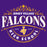 Close-up view of Jersey Village High School Falcons Purple Classic Unisex T-shirt 211