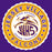 Close-up view of Jersey Village High School Falcons Purple Classic Unisex T-shirt 216