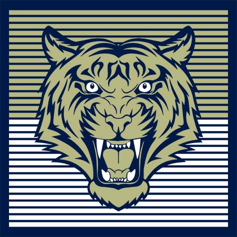 Close-up of Klein Collins High School Tigers Navy Women's T-shirts 27