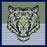 Close-up of Klein Collins High School Tigers Navy Women's T-shirts 27