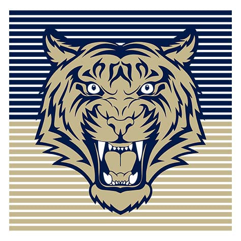 Close-up of Klein Collins High School Tigers Unisex 3/4 Sleeve Raglan T-shirt 27