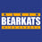 Close-up of Klein High School Bearkats Women's Royal T-shirt 98