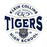 Close-up view of Klein Collins High School Tigers Unisex 3/4 Sleeve Raglan T-shirt 218