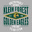 Close-up view of Klein Forest High School Golden Eagles Unisex 3/4 Sleeve Raglan T-shirt 210