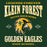 Close-up view of Klein Forest High School Golden Eagles Classic Unisex Forest Green T-shirt 230