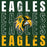 Close-up view of Klein Forest High School Golden Eagles Classic Unisex Forest Green T-shirt 233