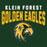 Close-up view of Klein Forest High School Golden Eagles Classic Unisex Forest Green T-shirt 234