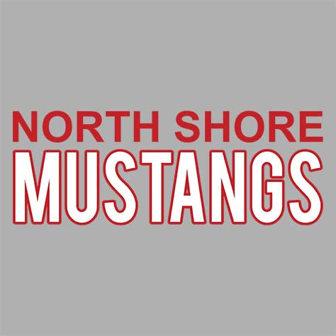 North Shore High School Sports Grey Hoodie 10