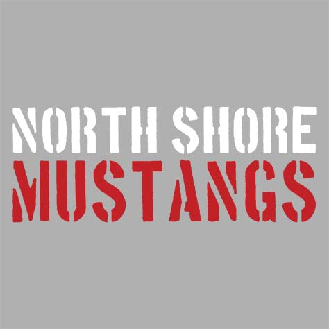 North Shore High School Sports Grey Women's T-shirt 17