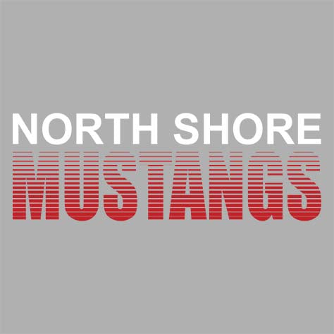 North Shore High School Sports Grey Women's T-shirt 24