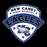 Close-up view of New Caney High School Eagles Unisex 3/4 sleeve Raglan T-shirt 224