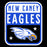 Close-up view of New Caney High School Eagles Unisex 3/4 sleeve Raglan T-shirt 001