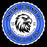 Close-up view of New Caney High School Eagles Unisex 3/4 sleeve Raglan T-shirt 216