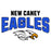 Close-up view of New Caney High School Eagles Unisex 3/4 sleeve Raglan T-shirt 234