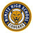 Close-up view of Nimitz High School Cougars Unisex 3/4 Sleeve Raglan T-shirt 220