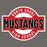 Close-up view of North Shore High School Mustangs Dark Grey Classic Unisex T-shirt 011