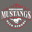 Close-up view of North Shore High School Mustangs Dark Grey Classic Unisex T-shirt 211