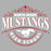 Close-up view of North Shore High School Mustangs Women's Grey SoftStyle T-shirt 211