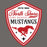 Close-up view of North Shore High School Mustangs Dark Grey Classic Unisex T-shirt 225