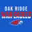 Close-up view of Oak Ridge High School War Eagles Women's Royal Blue SoftStyle T-shirt 024