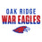 Close-up view of Oak Ridge High School War Eagles Unisex 3/4 sleeve Raglan T-shirt 024