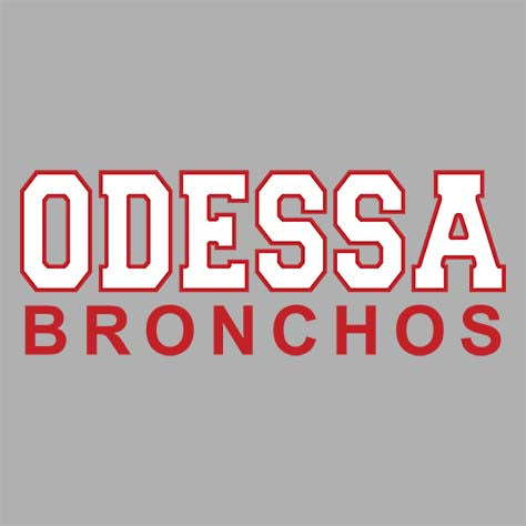 Odessa High School Sports Grey Classic T-shirt 10