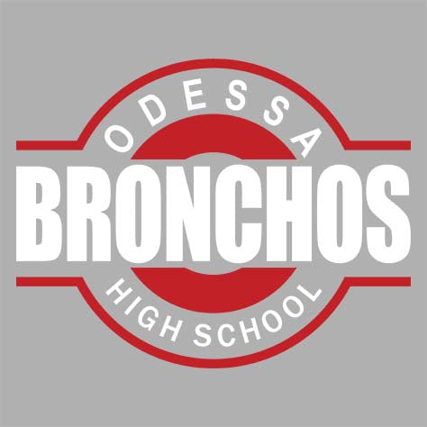 Odessa High School Sports Grey Classic Hoodie 11